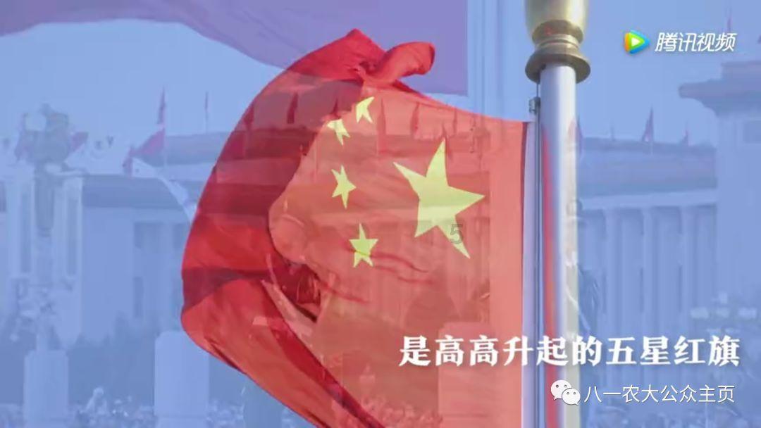 志愿山城 | 涪陵区2024年“站小青”志愿者招募令！请查收！